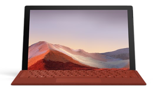 两当清洁和维护 Surface